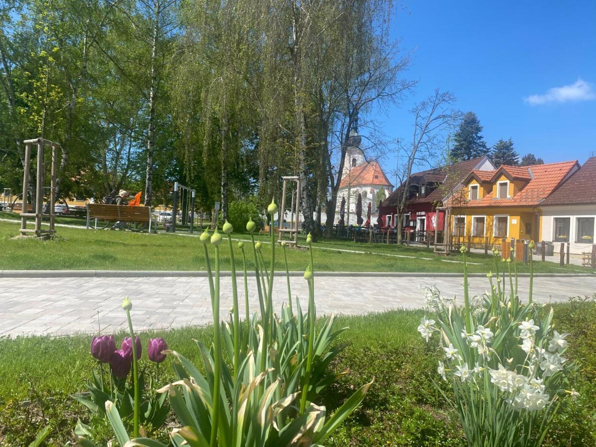 Apartamento Dům u lázní Federer Třeboň Exterior foto